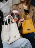 Starbucks 2021 China Christmas bag