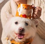 Starbucks 2022 China Cute Tiger Lucky Bag 14oz Mug
