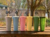 Starbucks 2021 China Taiwan Green Gray Blue Yellow Pink Matte 24oz Studded Cup Tumbler