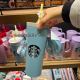 Starbucks 2022 Korea Valentine's Day Blue Two Lid Stainless Steel Tumbler