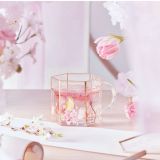 Starbucks 2022 China Bird Admire Sakura 14oz Glass Cup