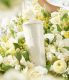 Starbucks 2022 China White Camellia Dome 24oz Cup Tumbler