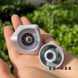 Starbucks 2022 China Fidget Spinner