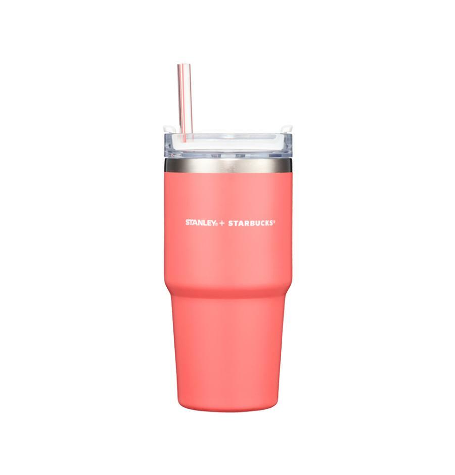 Starbucks Stanley Insulated Box with Plastic Straw Cup & Stainless Steep Cup  – Ann Ann Starbucks