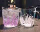 Starbucks 2017 China Lavender Cold Change 12oz Glass Cup
