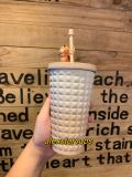 Starbucks 2022 China Autumn Forest Cute Squirrel Topper Pineapple 16oz SS Cup Tumbler