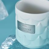 Starbucks 2022 China Anniversary Scale 13oz Mug