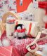 Starbucks 2022 China Christmas Penguin 12oz SS Cup Tumbler with Bag