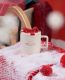 Starbucks 2022 China Christmas Holiday Gift 14oz Mug