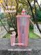 Starbucks Coral Pink Ox Topper Studded and Pink Keychain Ornament Set