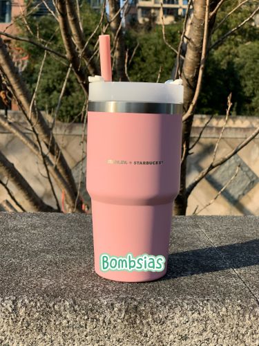 US$ 68.99 - Starbucks 2023 Taiwan Valentine's Day Baby Pink Stanley 20oz SS  Cup Tumbler - m.