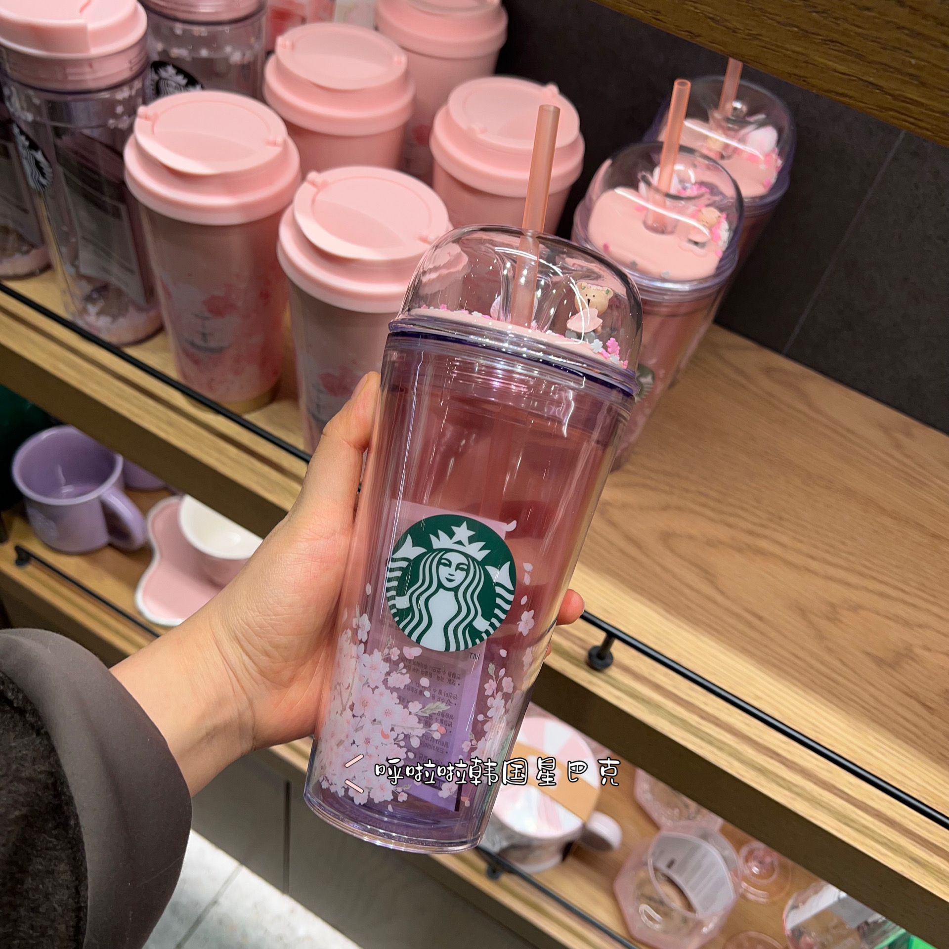 US$ 65.99 - Starbucks 2023 Korea Sakura Bear Lid 16oz