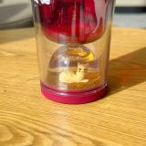 Starbucks 2023 China Kate Spade Pink Cute Cat Series
