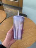 Starbucks 2023 China Summer Purple 16oz Plastic Tumbler