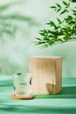 Starbucks 2023 China Summer Mint Green Series