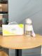 Starbucks 2023 China Summer Nature 18oz Plastic Tumbler with Bag