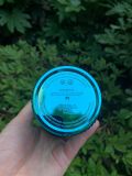 Minor Flaw No Tag Starbucks US Chrome Blue Studded