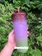Starbucks Latam Ombre Studded