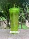 Minor Flaw No Tag Starbucks Green Clear Dome Tumbler