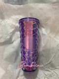 Starbucks 2023 Taiwan Purple or Blue Scale 24oz Tumbler