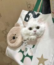Starbucks 2023 China Cute Pet Bear Hand Bag