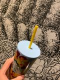 Minor Flaw No Tag Starbucks Orange Flower SS Tumbler