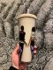 Minor Flaw No Tag Starbucks Couple Back Shadow Venti Tumbler