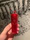 No Box Starbucks Hot Pink Prism Diamond Keychain Ornament