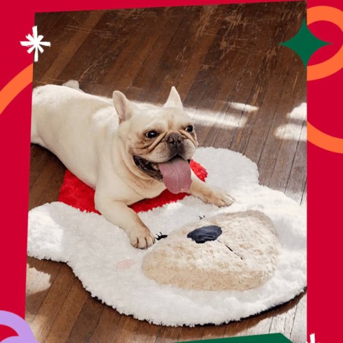 Starbucks 2023 China Christmas Pet Cute Bear Mat ( size:68*55cm)