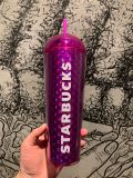 Minor Flaw No Tag Starbucks Purple Dome Tumbler