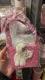 Starbucks 2024 Taiwan Valentine's Day Pink Cat Sleeve