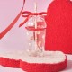 Starbucks 2024 China Valentine's Day Cat and Bow 14oz DW Glass Cup