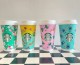Starbucks 2024 China Spring pastoral 13oz SS Tumbler