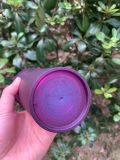 Crack Starbucks Purple Glitter Tumbler 