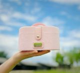 Starbucks 2024 China Green or Pink Led cosmetic bag