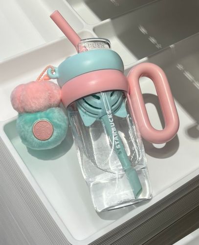Starbucks 2024 China Summer Succulent 33oz Plastic Tumbler with Keychain