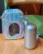 Starbucks 2024 China Summer Night Starry Sky bearista 7oz SS Tumbler with Bag