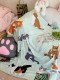 Starbucks 2024 China Summer Cool Cats Blanket