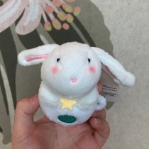 Starbucks 2024 China Cup Rabbit Mini Bear Toy Keychain