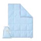Starbucks 2024 Korea Christmas Hotel Blue Blanket