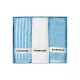 Starbucks 2024 Korea Christmas Hotel Three pieces Towel Set