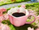 Starbucks 2025 China Sakura Pink 10oz Mug