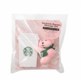 Starbucks 2025 Japan Sakura Mini Bear Toy