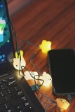 Starbucks 2025 China Cute Bear Star Siren Charging Cable