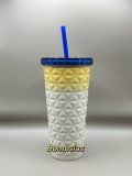 Starbucks 2025 Taiwan Summer Crystal Clear Dion 20oz SS Tumbler