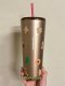 Starbucks 2025 Taiwan Christmas Gingerbread 24oz SS Tumbler