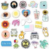 VSCO Girl ( 50 Pcs )