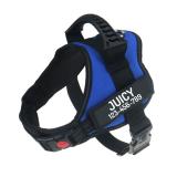 Personalized No Pull Reflective Adjustable Dog Harness