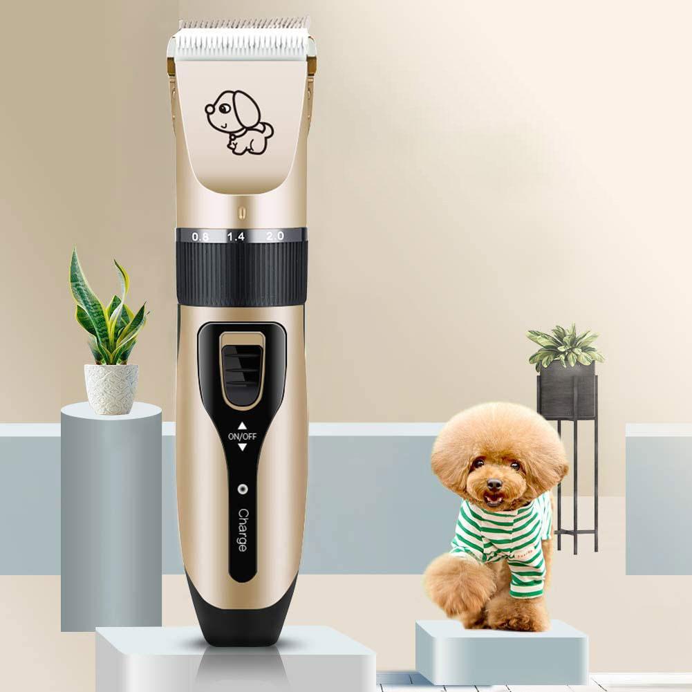 professional dog trimmer