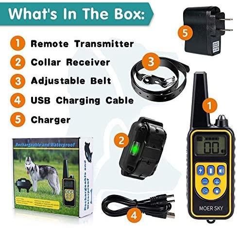 sky shock collar